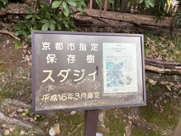 新日吉神宮の{uncategorized: "未分類", other: "その他", undefined: "問題あり", building: "その他建物", grave: "お墓", sacred_gate: "鳥居", guardian: "狛犬", statue: "像", buddha: "仏像", history: "歴史", nature: "自然", garden: "庭園", animal: "動物", pagoda: "塔", temizu: "手水舎", mountain_gate: "山門・神門", sanctuary: "本殿・本堂", subordinate: "末社・摂社", art: "芸術", scenery: "景色", jizo: "地蔵", ema: "絵馬", goshuin: "御朱印", omikuji: "おみくじ", items: "授与品その他", amulet: "お守り", goshuincho: "御朱印帳", eats: "食事", festival: "お祭り", votive_dance: "神楽", shichigosan: "七五三参", wedding: "結婚式", experience: "体験その他", initially: "初詣", around: "周辺", anti_infection: "感染症対策"}