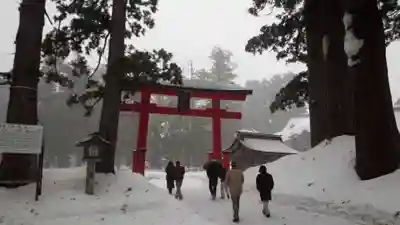 出羽神社(出羽三山神社)~三神合祭殿~の鳥居