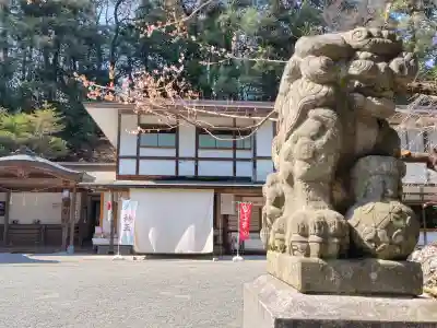 金刀比羅神社の{uncategorized: "未分類", other: "その他", undefined: "問題あり", building: "その他建物", grave: "お墓", sacred_gate: "鳥居", guardian: "狛犬", statue: "像", buddha: "仏像", history: "歴史", nature: "自然", garden: "庭園", animal: "動物", pagoda: "塔", temizu: "手水舎", mountain_gate: "山門・神門", sanctuary: "本殿・本堂", subordinate: "末社・摂社", art: "芸術", scenery: "景色", jizo: "地蔵", ema: "絵馬", goshuin: "御朱印", omikuji: "おみくじ", items: "授与品その他", amulet: "お守り", goshuincho: "御朱印帳", eats: "食事", festival: "お祭り", votive_dance: "神楽", shichigosan: "七五三参", wedding: "結婚式", experience: "体験その他", initially: "初詣", around: "周辺", anti_infection: "感染症対策"}