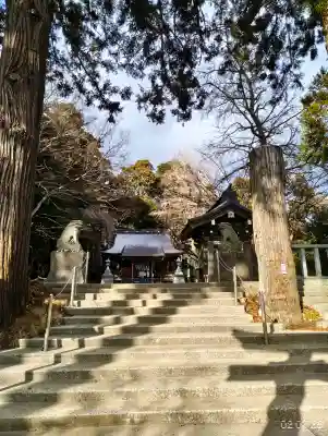 陸奥総社宮の{uncategorized: "未分類", other: "その他", undefined: "問題あり", building: "その他建物", grave: "お墓", sacred_gate: "鳥居", guardian: "狛犬", statue: "像", buddha: "仏像", history: "歴史", nature: "自然", garden: "庭園", animal: "動物", pagoda: "塔", temizu: "手水舎", mountain_gate: "山門・神門", sanctuary: "本殿・本堂", subordinate: "末社・摂社", art: "芸術", scenery: "景色", jizo: "地蔵", ema: "絵馬", goshuin: "御朱印", omikuji: "おみくじ", items: "授与品その他", amulet: "お守り", goshuincho: "御朱印帳", eats: "食事", festival: "お祭り", votive_dance: "神楽", shichigosan: "七五三参", wedding: "結婚式", experience: "体験その他", initially: "初詣", around: "周辺", anti_infection: "感染症対策"}