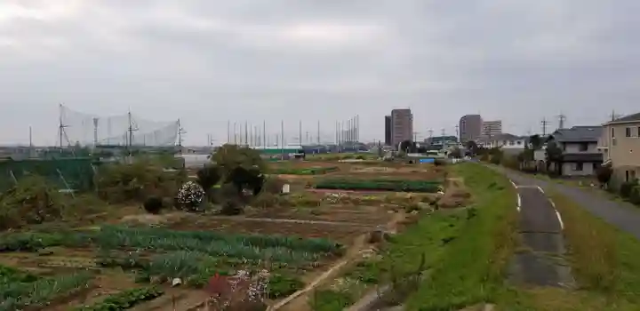大曽根八幡神社(埼玉県)