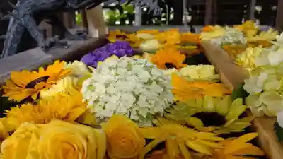 札幌諏訪神社の手水舎