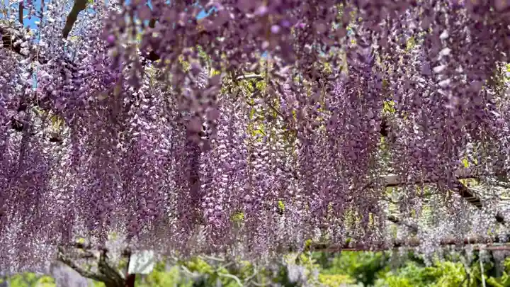和氣神社(和気神社)(岡山県)