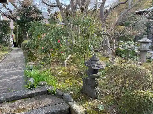 洞雲寺(京都府)