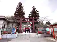 宮城縣護國神社の初詣