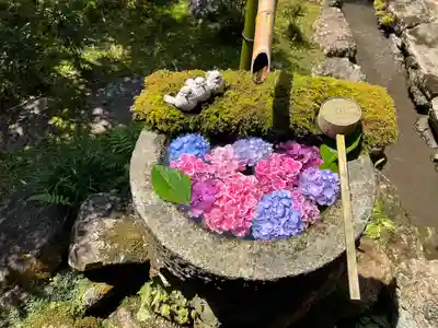 柳谷観音　楊谷寺(京都府)