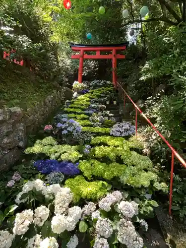 柳谷観音　楊谷寺(京都府)