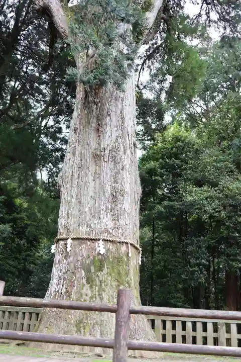 霧島神宮(鹿児島県)