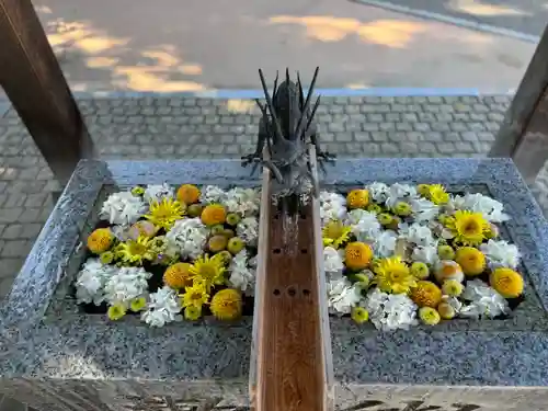 川越八幡宮(埼玉県)