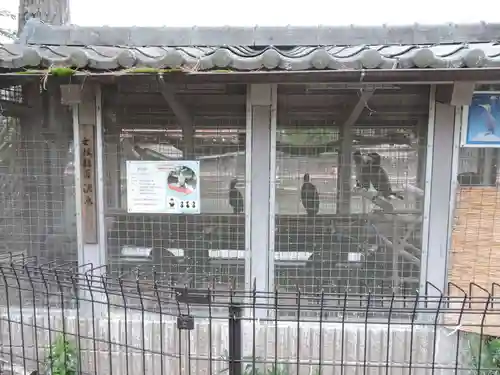 宇治上神社(京都府)