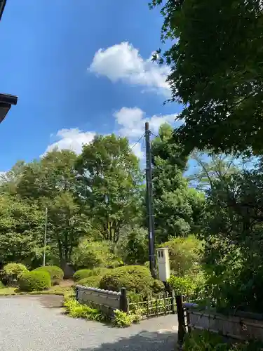 大山寺の庭園