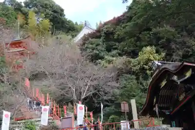 宝厳寺のその他建物
