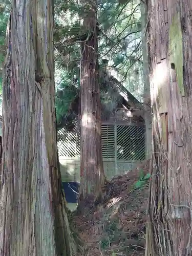 大滝神社(山梨県)