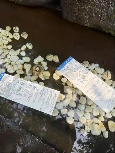 江島神社のおみくじ