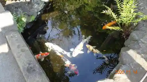 天祖諏訪神社のその他建物