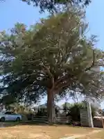 来迎寺(千葉県)