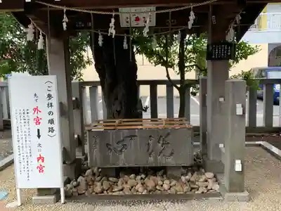 伊勢原大神宮の手水舎