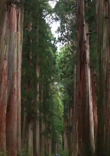 戸隠神社奥社の自然