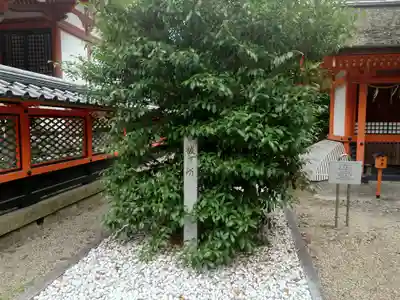 荒見神社のその他建物