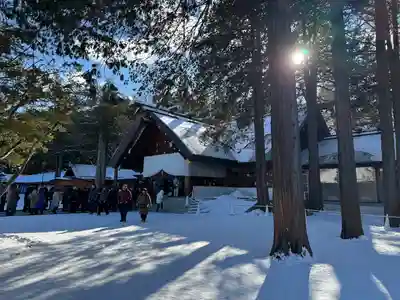 北海道神宮の本殿・本堂
