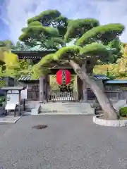 長谷寺(神奈川県)