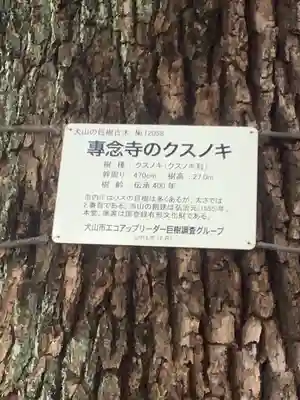 専念寺(愛知県)