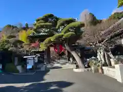 長谷寺(神奈川県)