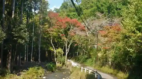 山科聖天 雙林院（双林院）　の自然