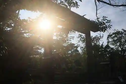 開成山大神宮の鳥居