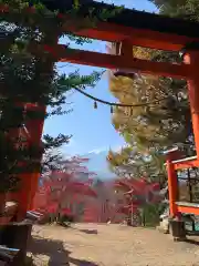 新倉富士浅間神社の鳥居