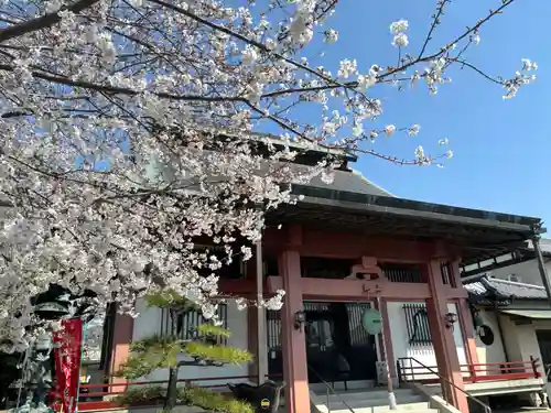 十輪寺(群馬県)