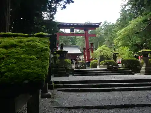 北口本宮冨士浅間神社の鳥居