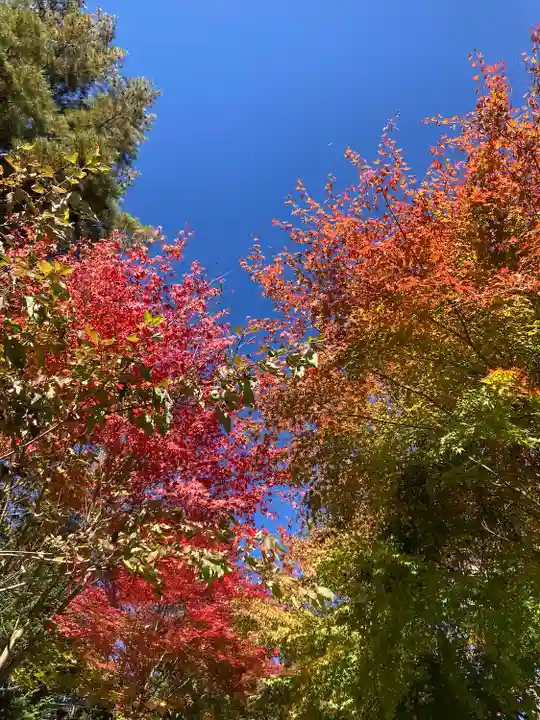 新倉富士浅間神社(山梨県)