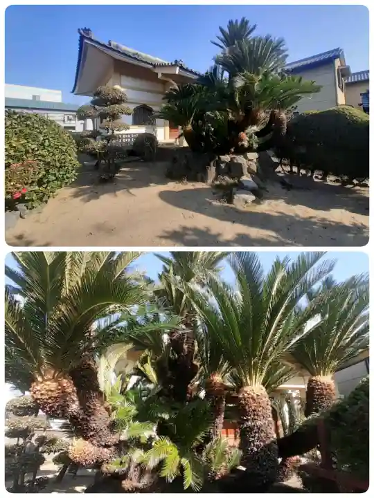 真観寺の{uncategorized: "未分類", other: "その他", undefined: "問題あり", building: "その他建物", grave: "お墓", sacred_gate: "鳥居", guardian: "狛犬", statue: "像", buddha: "仏像", history: "歴史", nature: "自然", garden: "庭園", animal: "動物", pagoda: "塔", temizu: "手水舎", mountain_gate: "山門・神門", sanctuary: "本殿・本堂", subordinate: "末社・摂社", art: "芸術", scenery: "景色", jizo: "地蔵", ema: "絵馬", goshuin: "御朱印", omikuji: "おみくじ", items: "授与品その他", amulet: "お守り", goshuincho: "御朱印帳", eats: "食事", festival: "お祭り", votive_dance: "神楽", shichigosan: "七五三参", wedding: "結婚式", experience: "体験その他", initially: "初詣", around: "周辺", anti_infection: "感染症対策"}