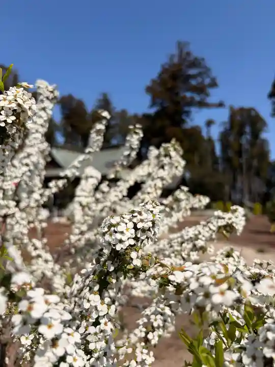 鹿嶋三嶋神社(茨城県)