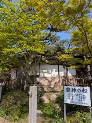 龍泉寺(岡山県)