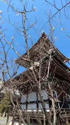 本法寺(京都府)