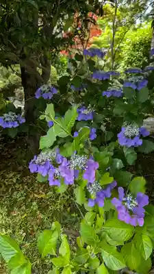 正法寺(京都府)