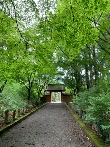 金藏院（聖法寺）の自然