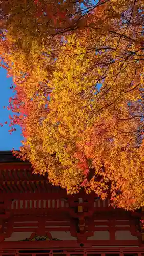 近江神宮(滋賀県)