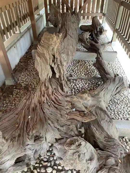 自凝島神社(兵庫県)