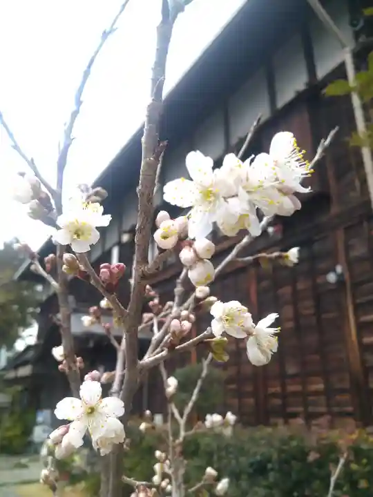 高知大神宮の自然