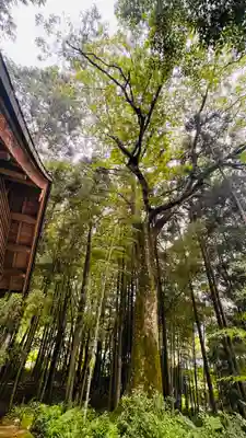 虫尾神社(福井県)