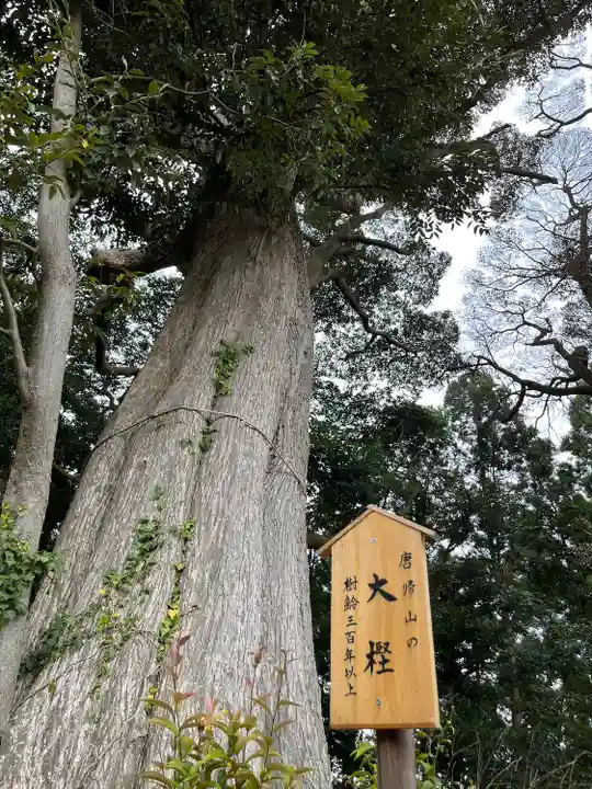 佐波波地祇神社の自然