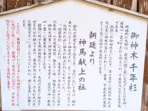 若狭姫神社（若狭彦神社下社）の{uncategorized: "未分類", other: "その他", undefined: "問題あり", building: "その他建物", grave: "お墓", sacred_gate: "鳥居", guardian: "狛犬", statue: "像", buddha: "仏像", history: "歴史", nature: "自然", garden: "庭園", animal: "動物", pagoda: "塔", temizu: "手水舎", mountain_gate: "山門・神門", sanctuary: "本殿・本堂", subordinate: "末社・摂社", art: "芸術", scenery: "景色", jizo: "地蔵", ema: "絵馬", goshuin: "御朱印", omikuji: "おみくじ", items: "授与品その他", amulet: "お守り", goshuincho: "御朱印帳", eats: "食事", festival: "お祭り", votive_dance: "神楽", shichigosan: "七五三参", wedding: "結婚式", experience: "体験その他", initially: "初詣", around: "周辺", anti_infection: "感染症対策"}