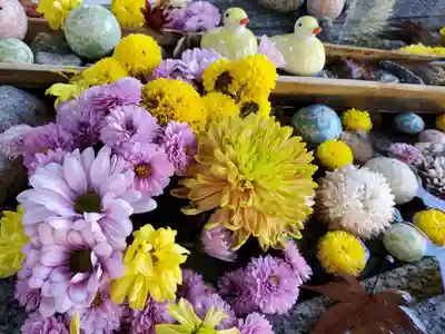 滑川神社 - 仕事と子どもの守り神の手水舎