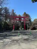 冠稲荷神社の{uncategorized: "未分類", other: "その他", undefined: "問題あり", building: "その他建物", grave: "お墓", sacred_gate: "鳥居", guardian: "狛犬", statue: "像", buddha: "仏像", history: "歴史", nature: "自然", garden: "庭園", animal: "動物", pagoda: "塔", temizu: "手水舎", mountain_gate: "山門・神門", sanctuary: "本殿・本堂", subordinate: "末社・摂社", art: "芸術", scenery: "景色", jizo: "地蔵", ema: "絵馬", goshuin: "御朱印", omikuji: "おみくじ", items: "授与品その他", amulet: "お守り", goshuincho: "御朱印帳", eats: "食事", festival: "お祭り", votive_dance: "神楽", shichigosan: "七五三参", wedding: "結婚式", experience: "体験その他", initially: "初詣", around: "周辺", anti_infection: "感染症対策"}