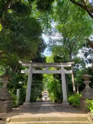 代々木八幡宮の鳥居