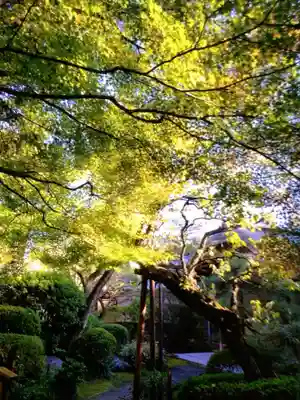 大正寺(東京都)