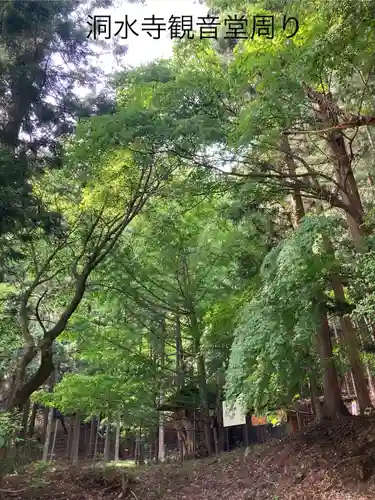 洞水寺(長野県)